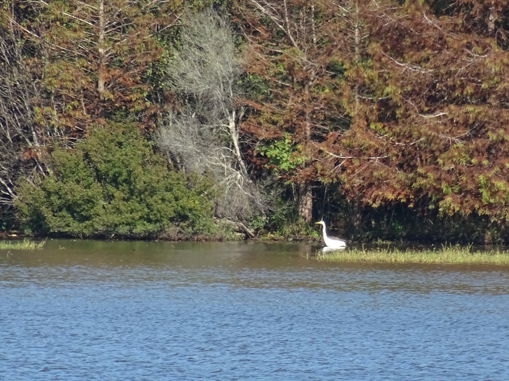 DSC06160.JPG
