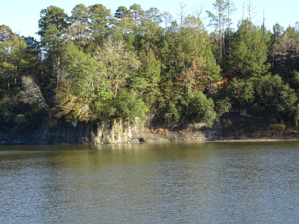 DSC06172.JPG