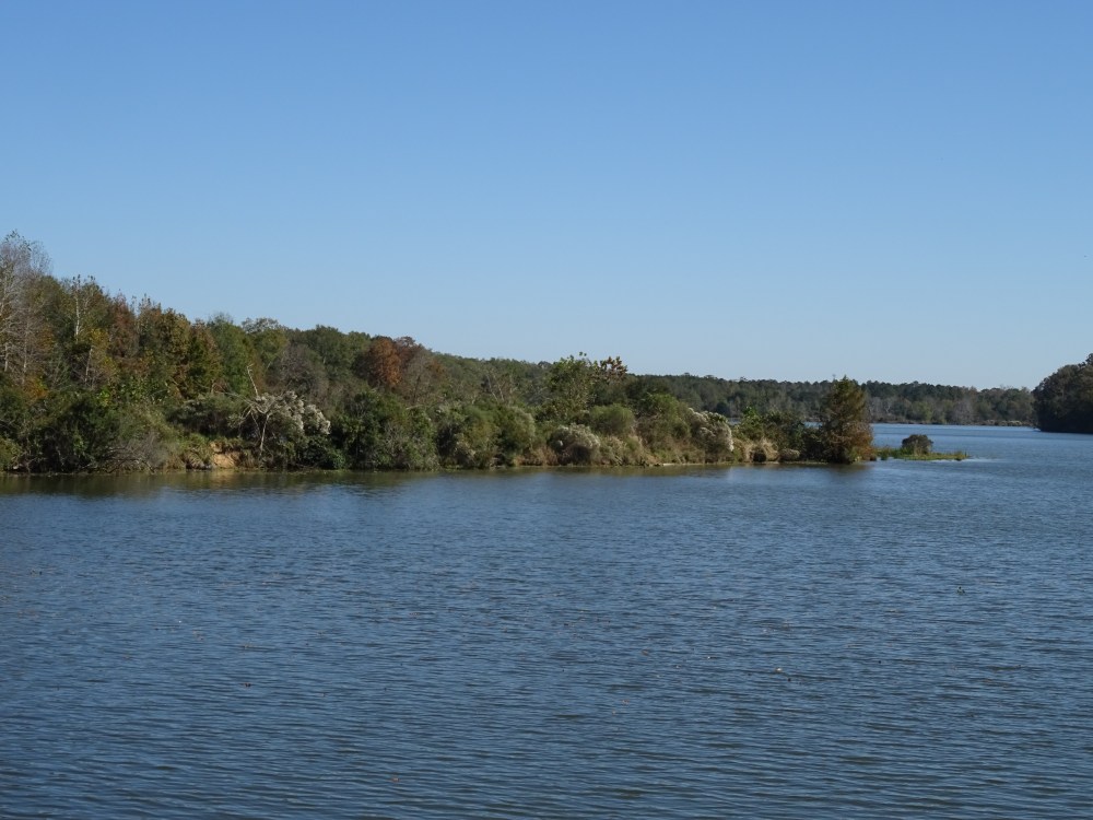 DSC06193.JPG