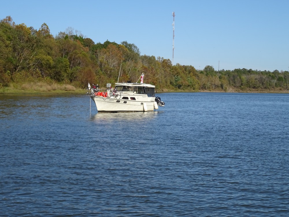 DSC06196.JPG