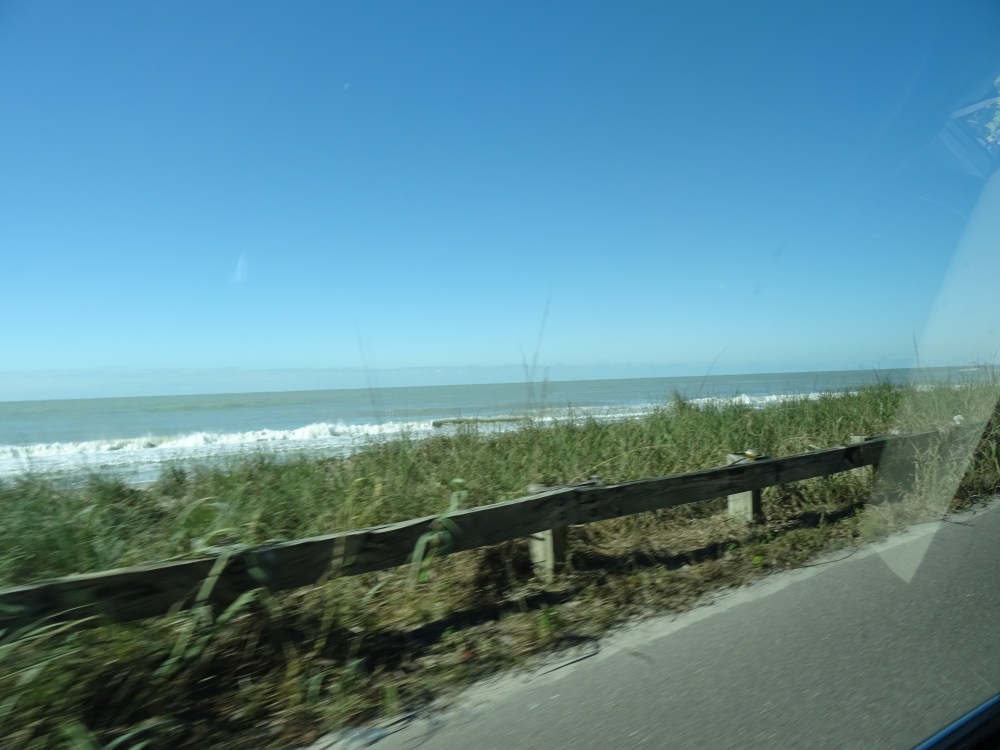 DSC07385.JPG