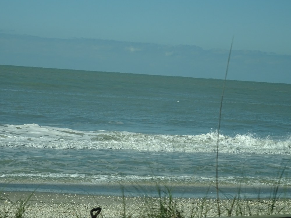 DSC07386.JPG