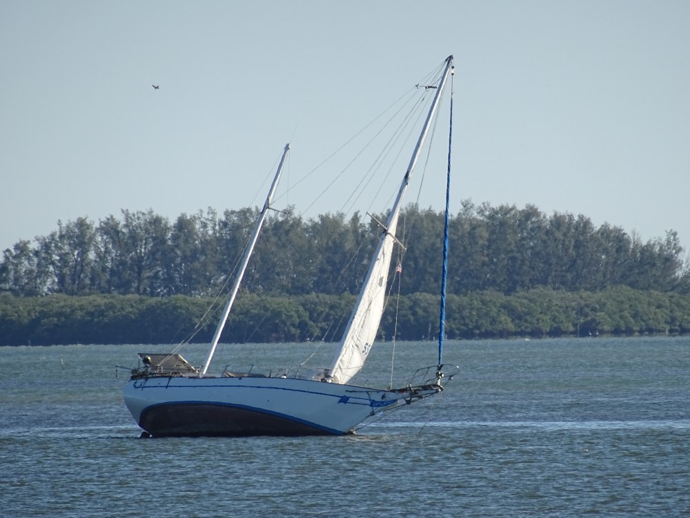 DSC07397.JPG