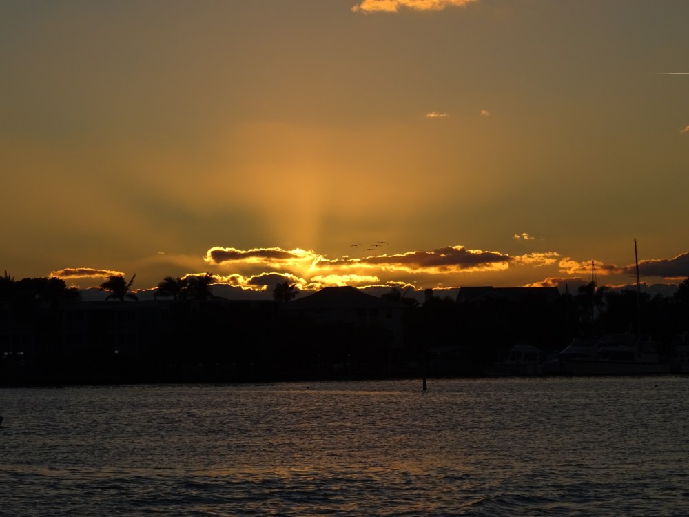 DSC07408.JPG