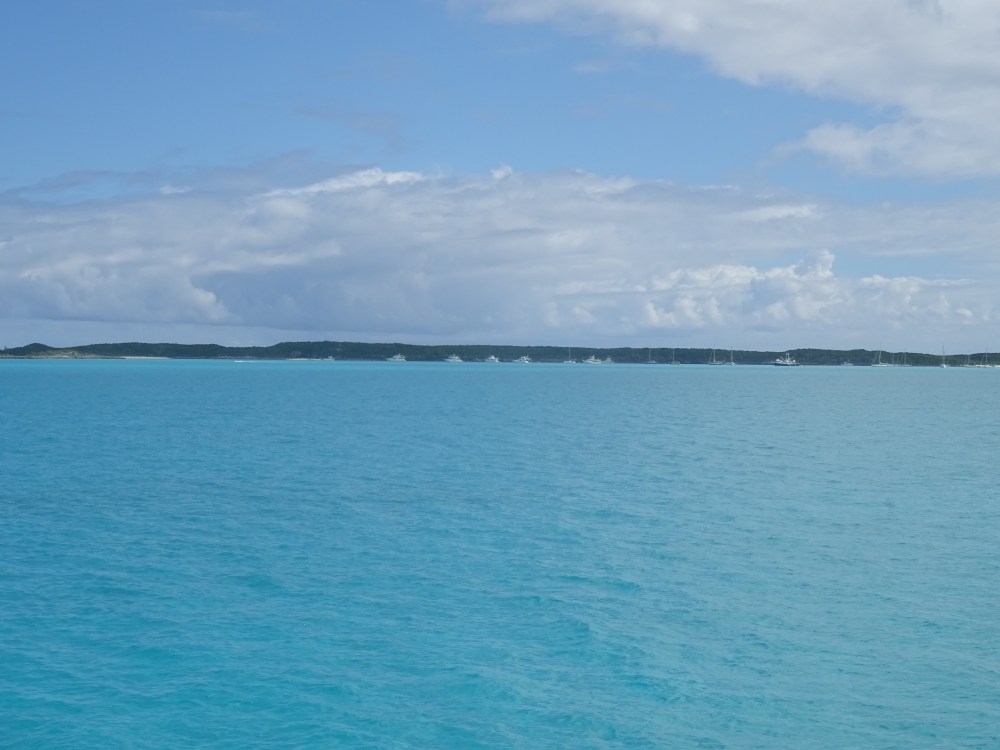 DSC09235.JPG