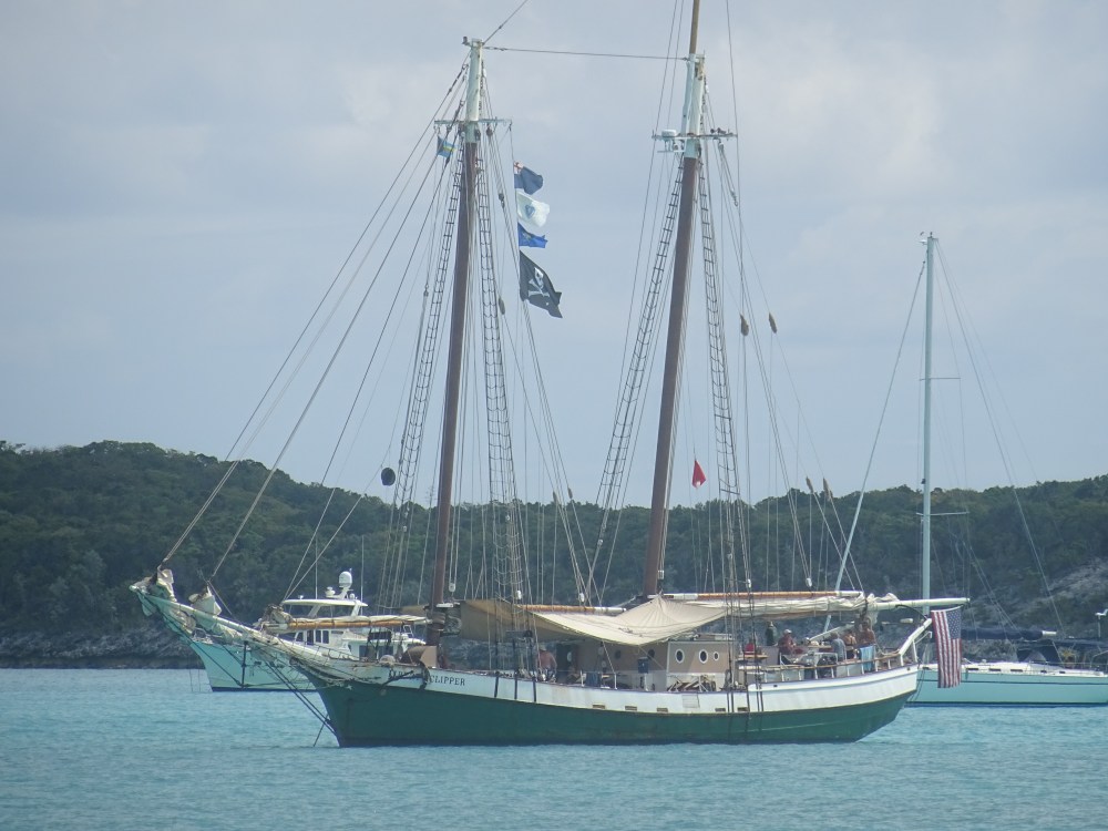 DSC09239.JPG