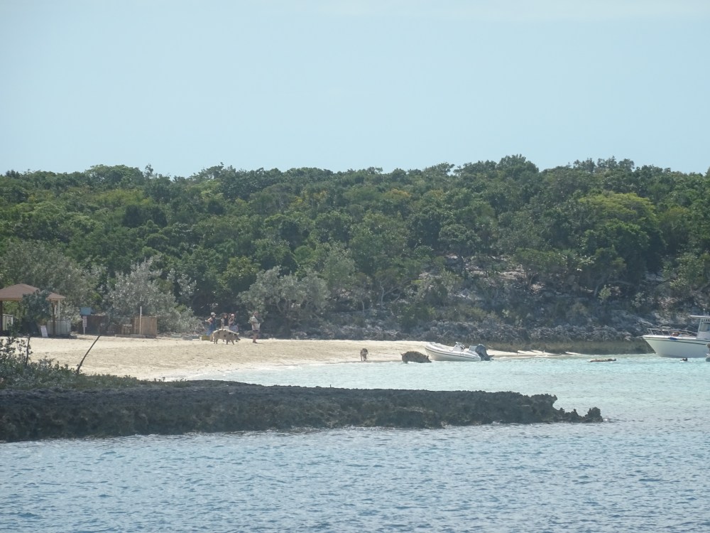 DSC09241.JPG